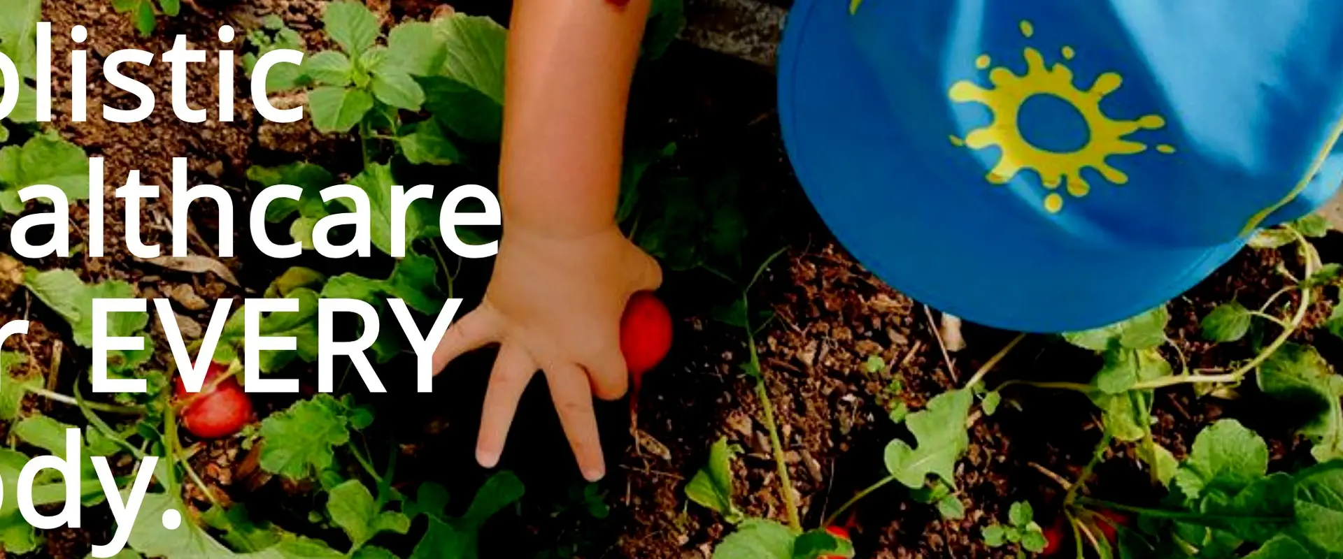 Funky Forest Health & Wellbeing - Upper Coomera