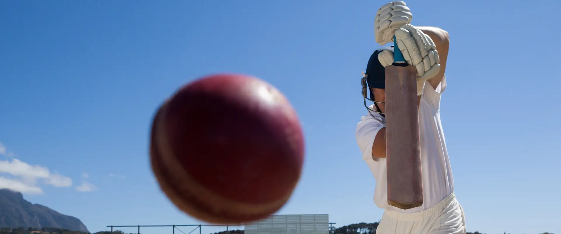 Manly Warringah Cricket Coaching School