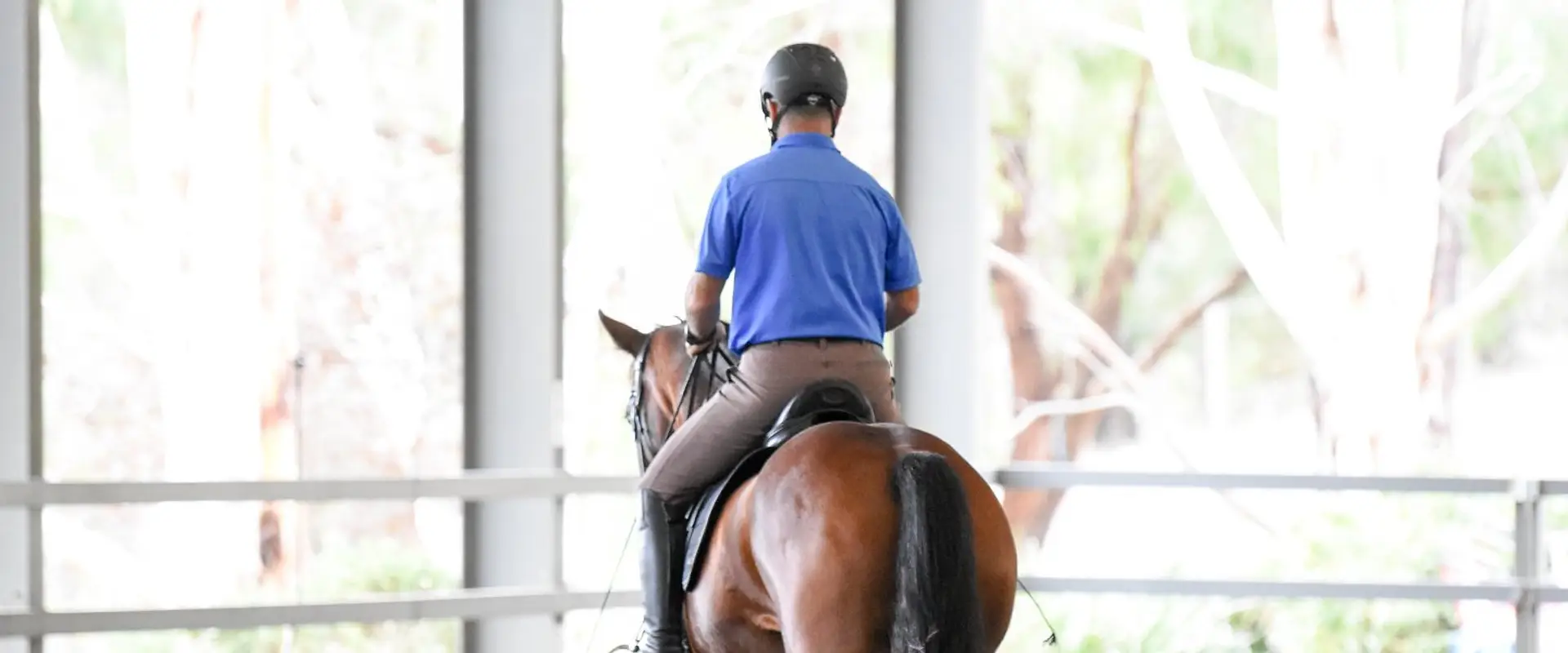 Enlightened Equitation