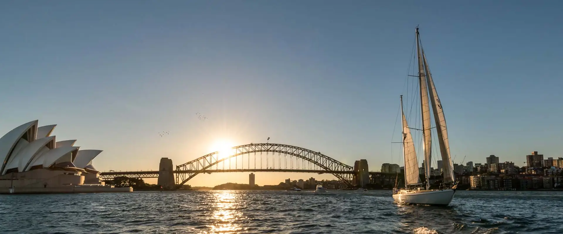 Manly Sailing