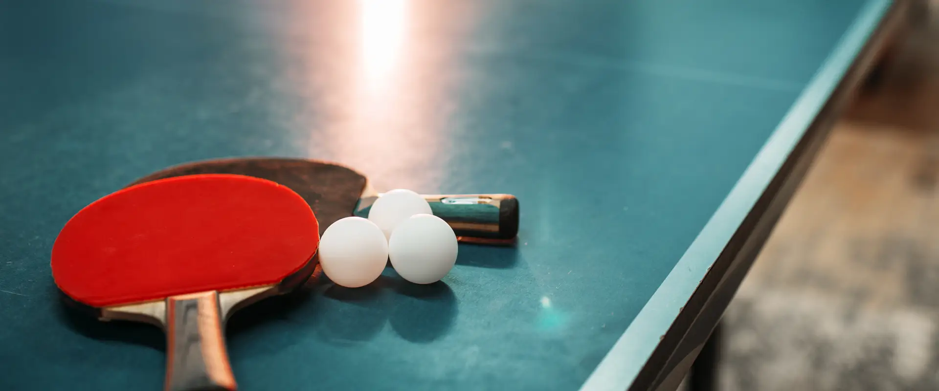 Mounties Table Tennis Club