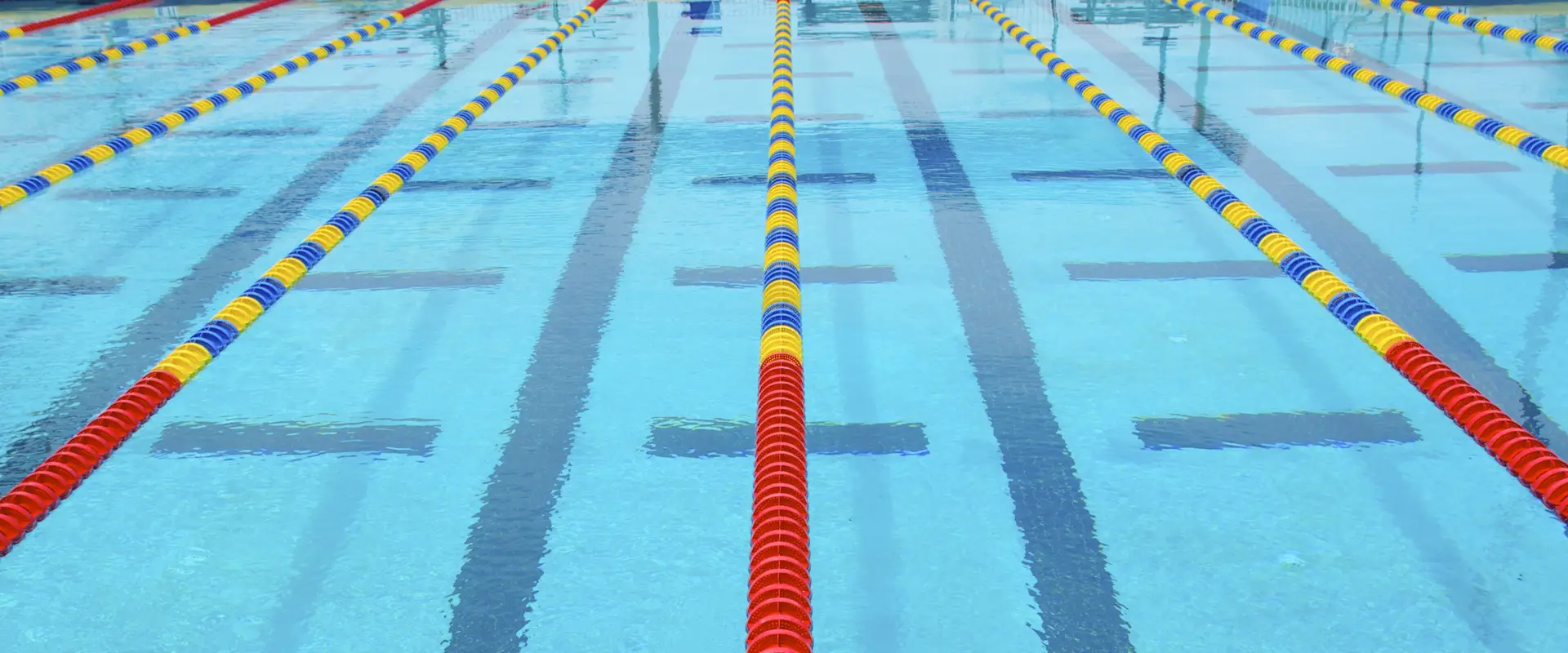 Elite Swimming Performance - Pascoe Vale