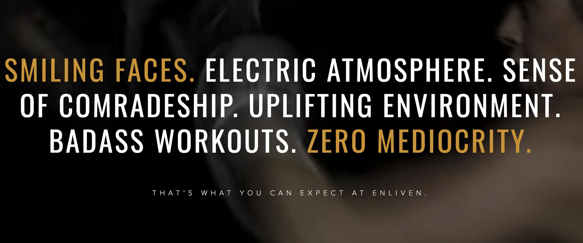 Enliven Coaching