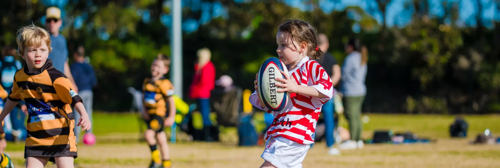 Dee Why Lions Rugby Club