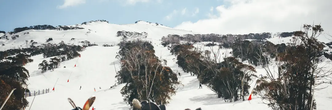 Thredbo Alpine Club