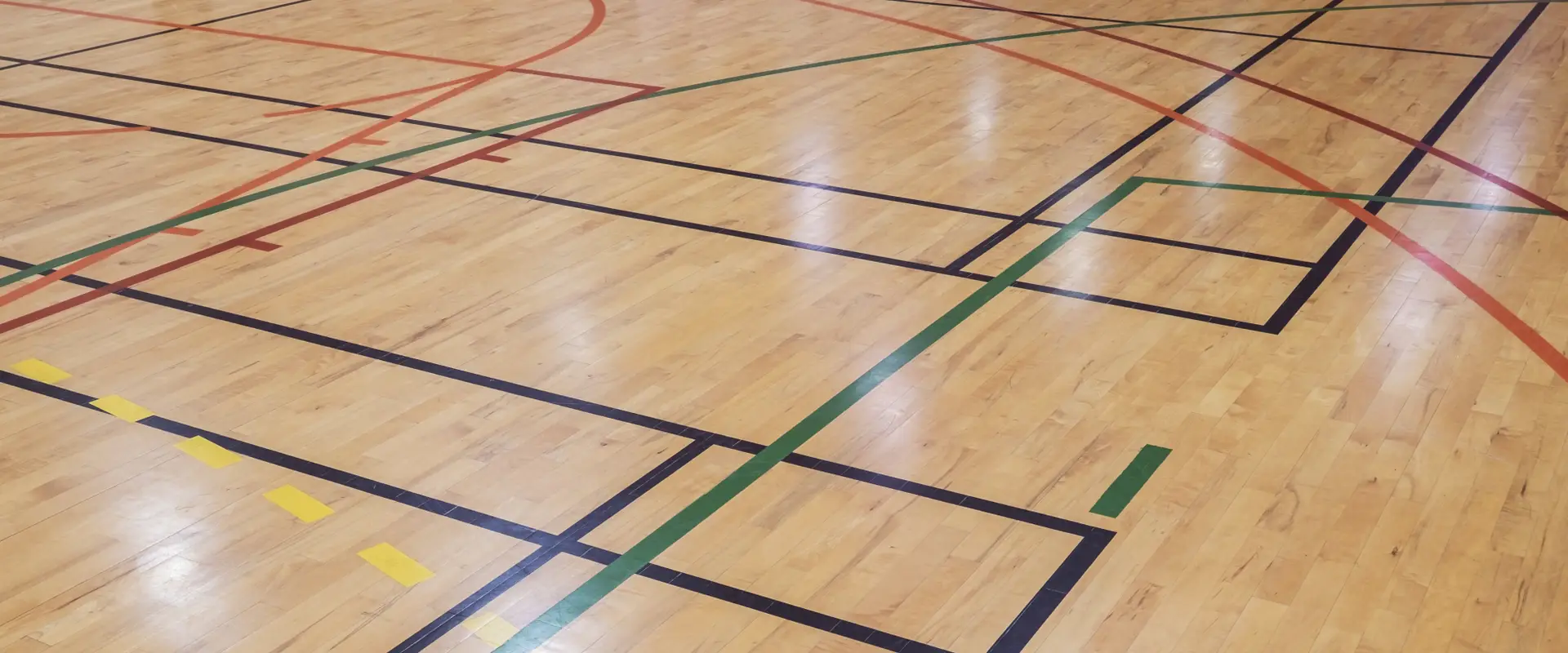 Dodgeball Federation Australia (DFA)