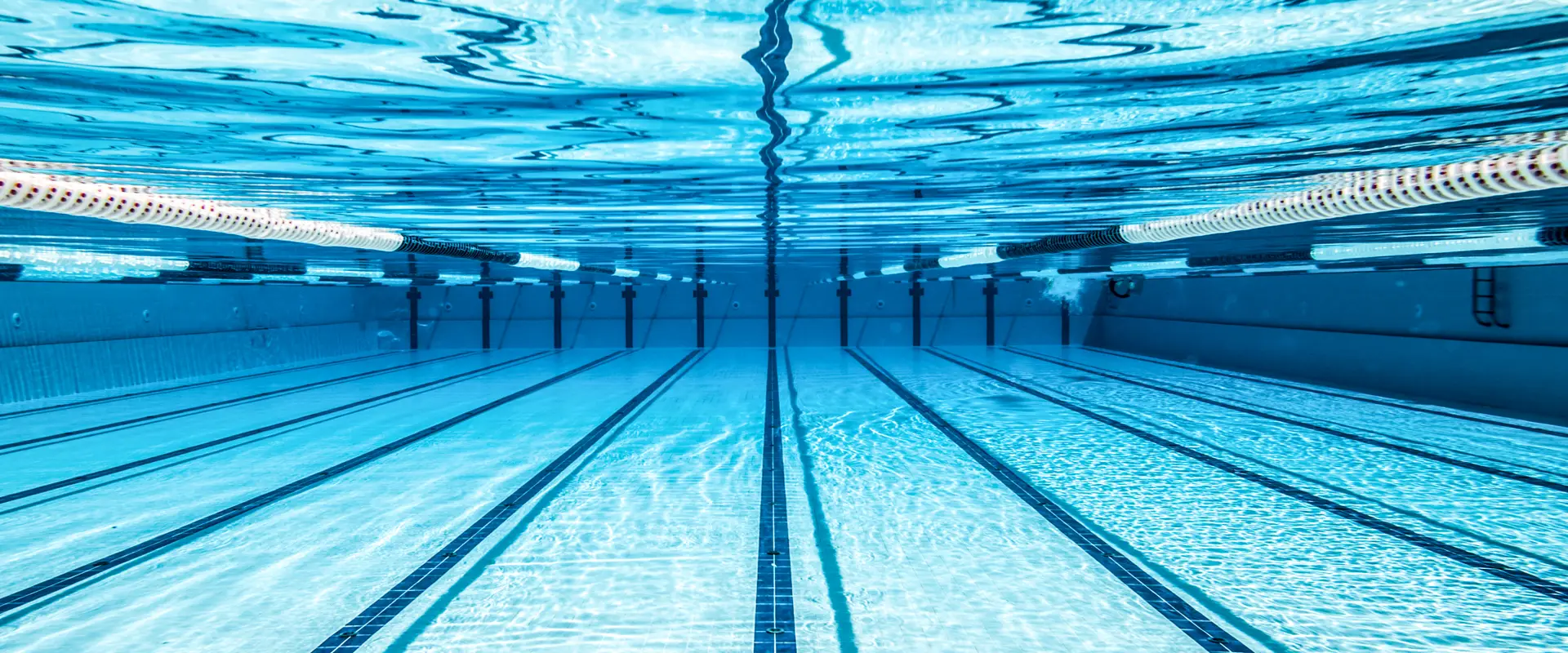 Manly Ladies & Associates Swimming Club
