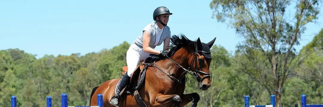 Willow Wood Stables
