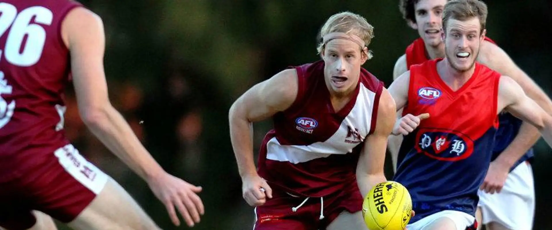 Manly Warringah Wolves