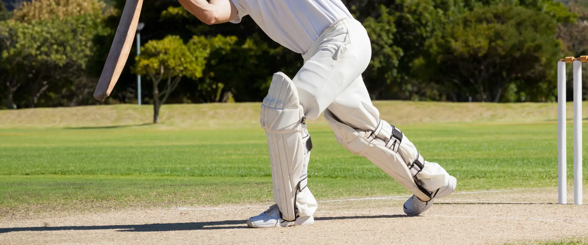 Harbord Diggers Cricket Club