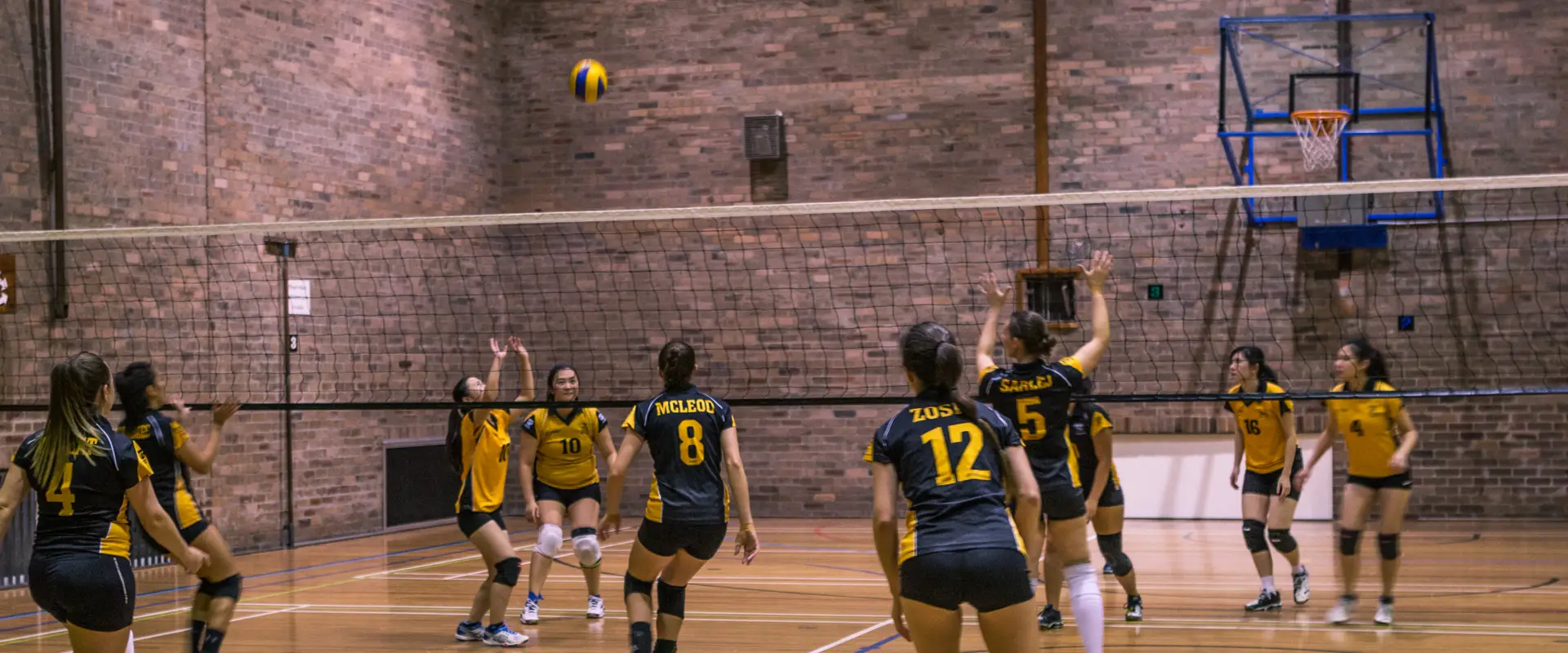 UNSW Volleyball
