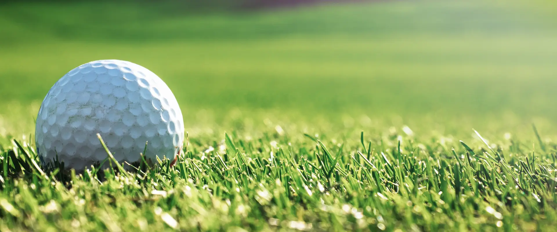 Mounties Social Golf Club