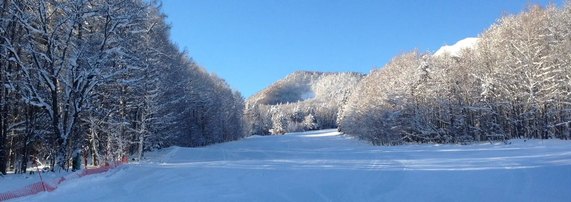 Harry Gotto Snow Club