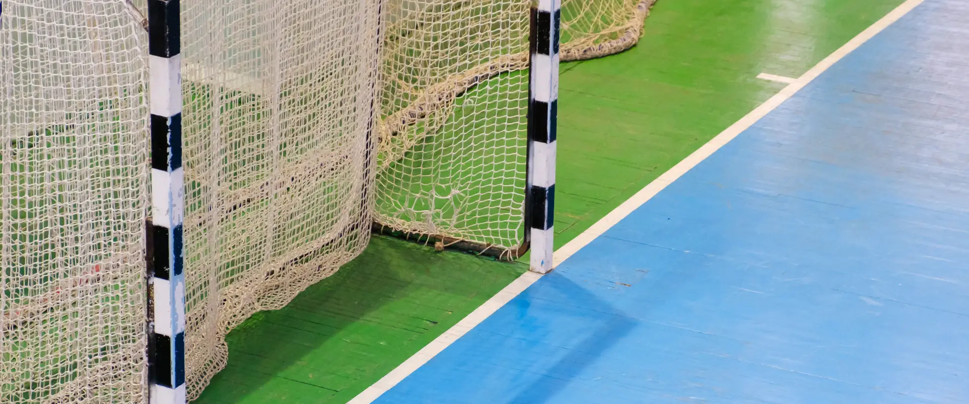 Mascot Vipers Futsal Club