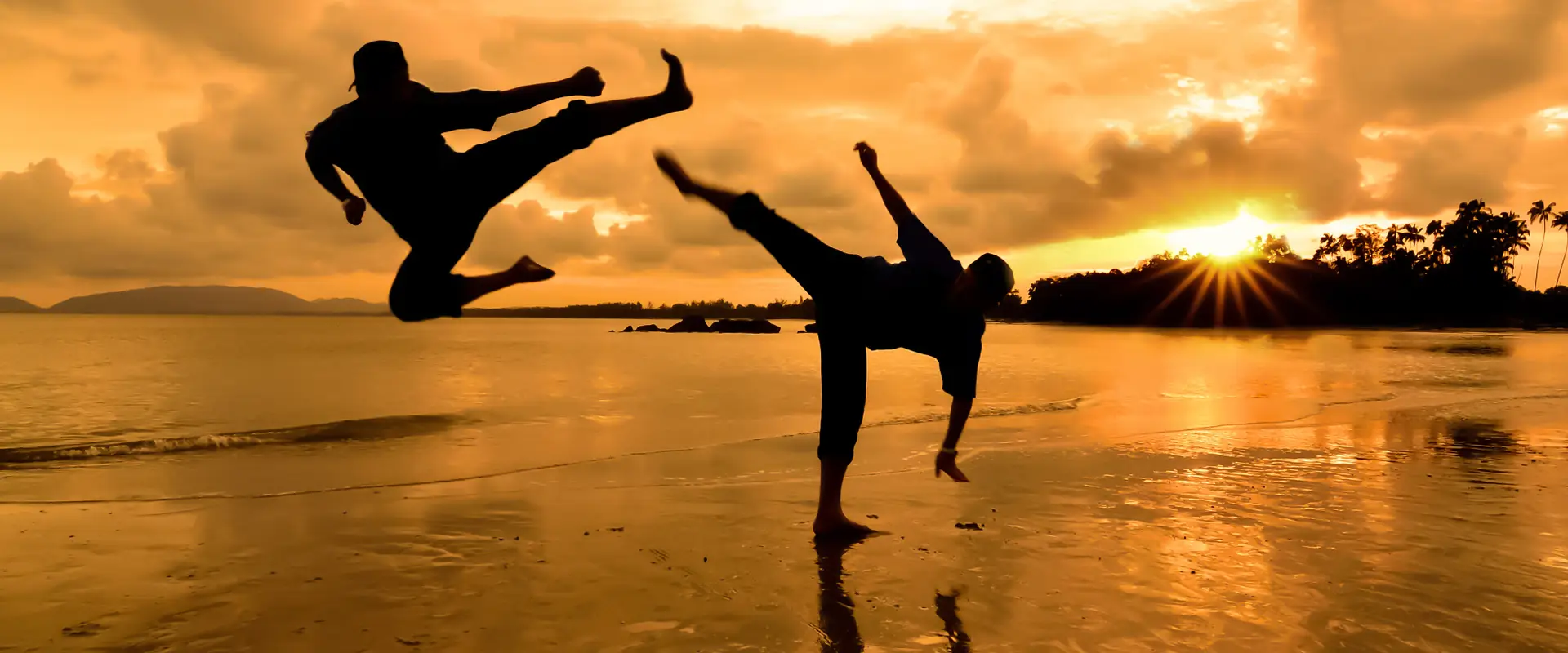 Australian Jow Ga Kung Fu Academy