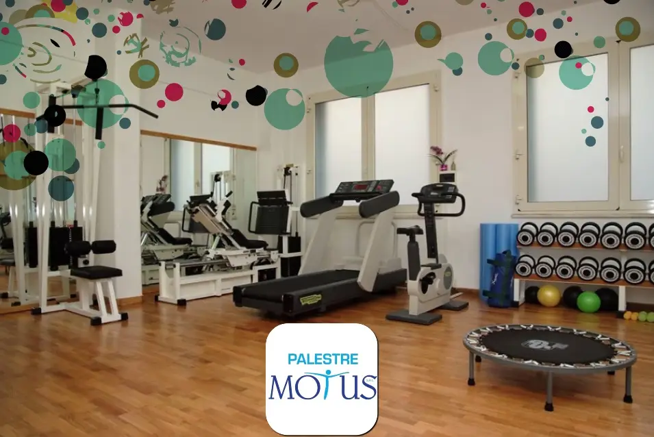 Palestra Motus