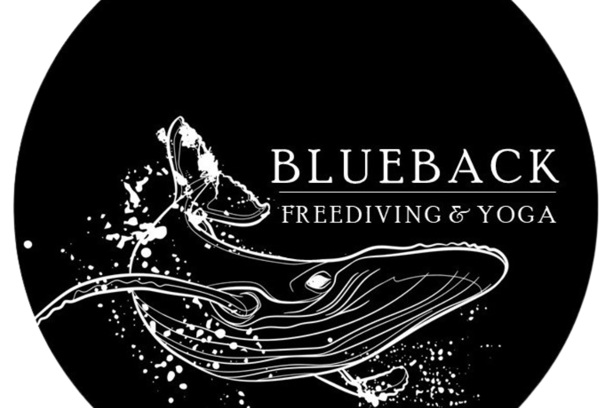 Blueback Freediving & Yoga
