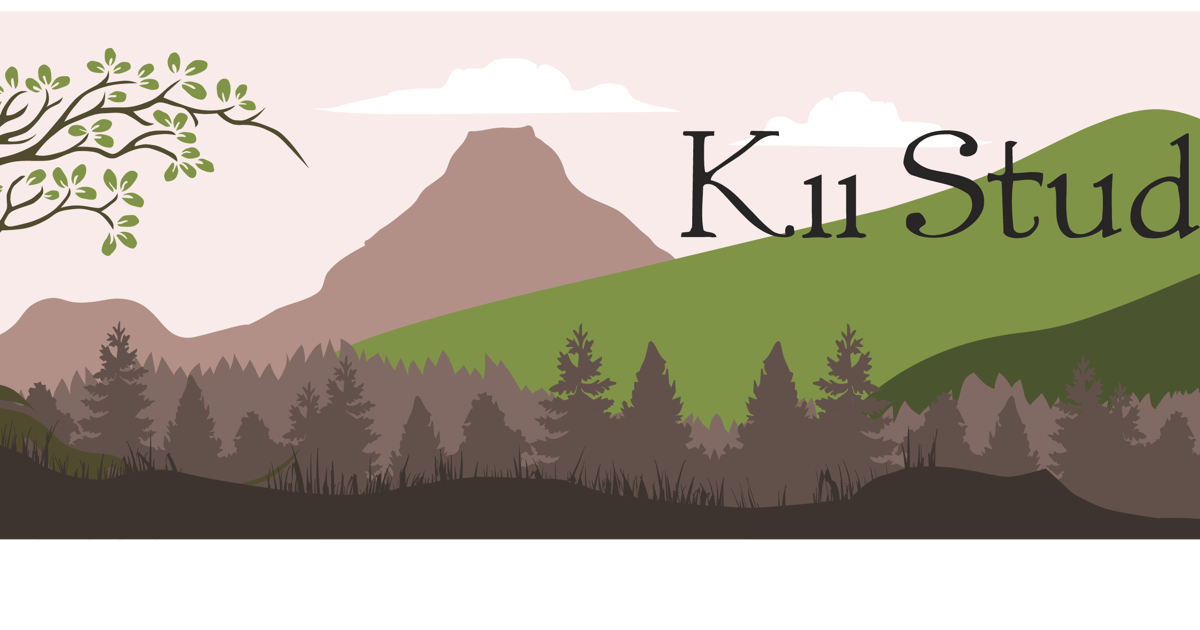 K11 Studio