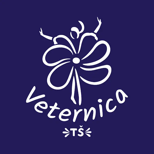 Tanečná škola Veternica
