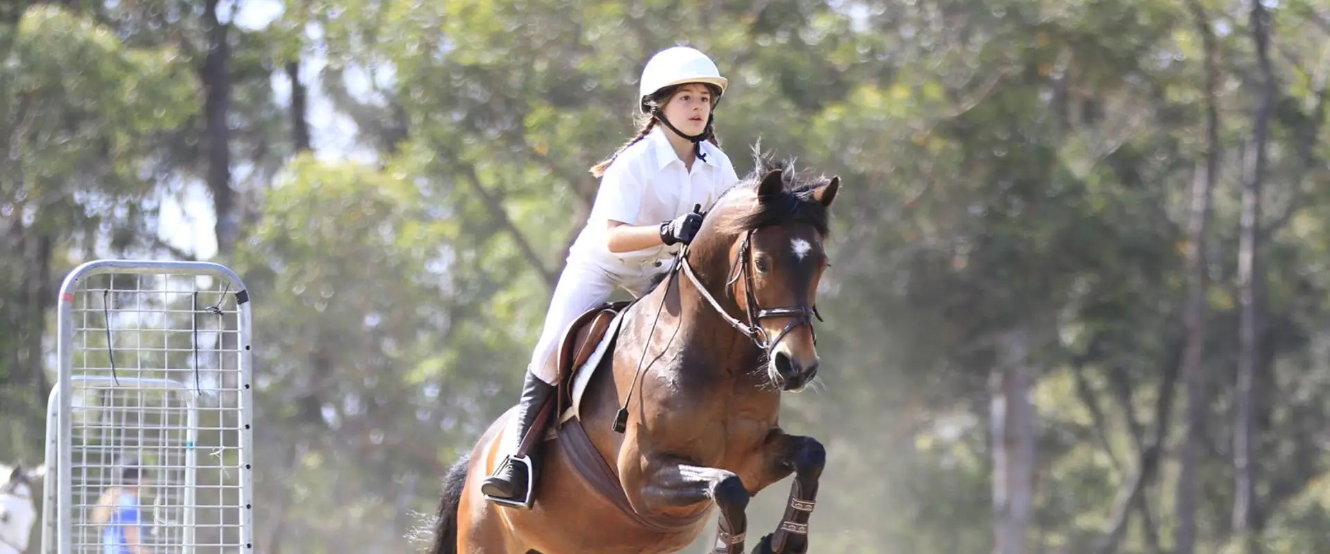 Yarramalong Equestrian Specialists