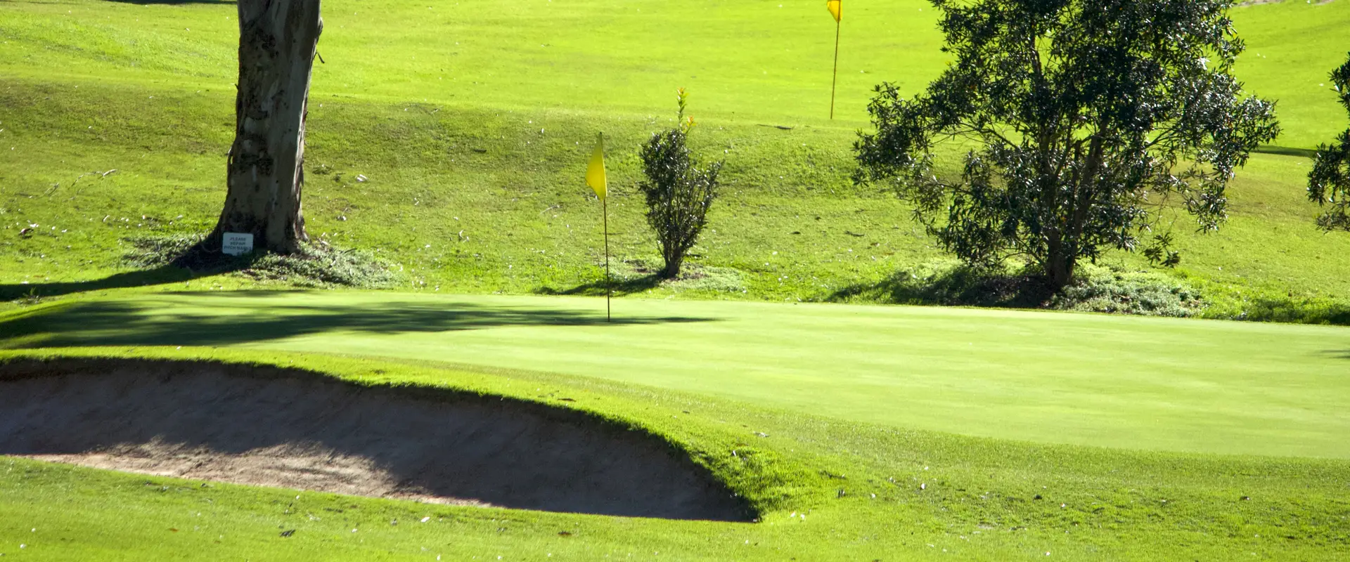 Lane Cove Golf Club