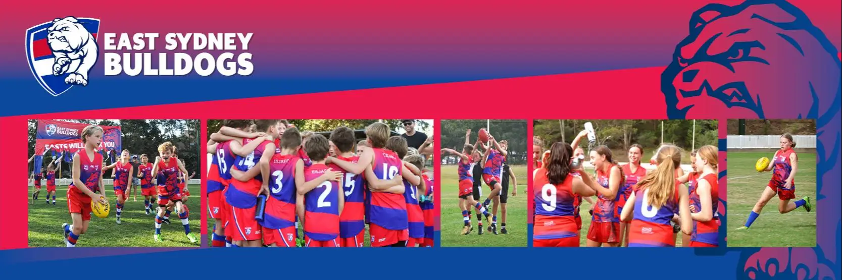 East Sydney Bulldogs