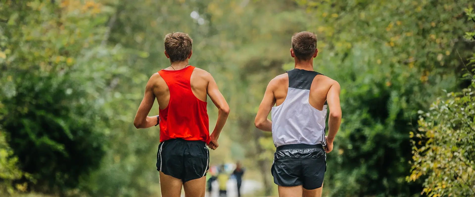 Sydney Trail Series