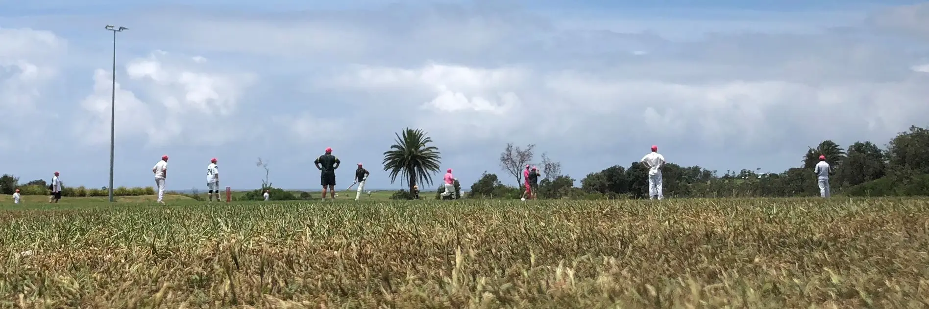 Long Reef Cricket Club