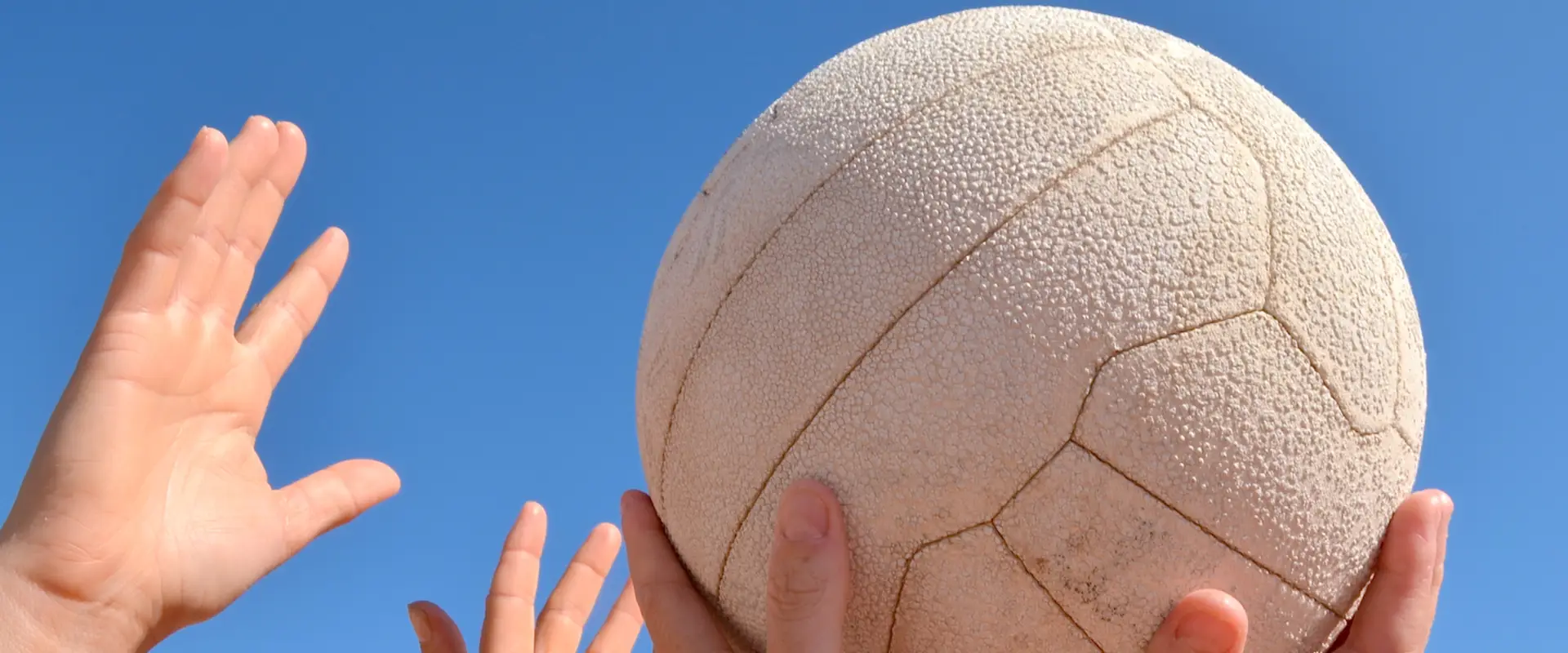 Chatswood Rangers Netball Club