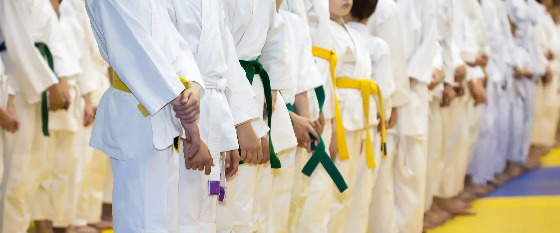 Northern Beaches Judo Club