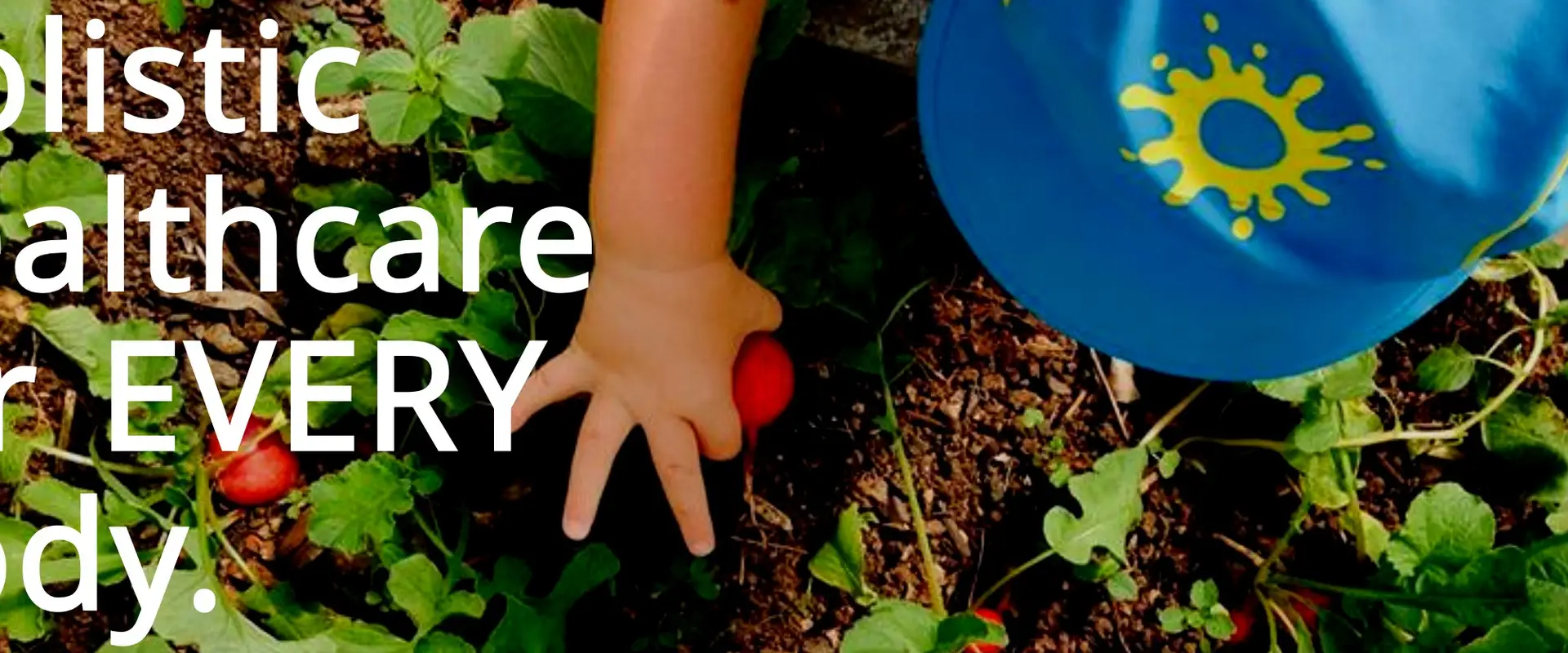 Funky Forest Health & Wellbeing - Coomera