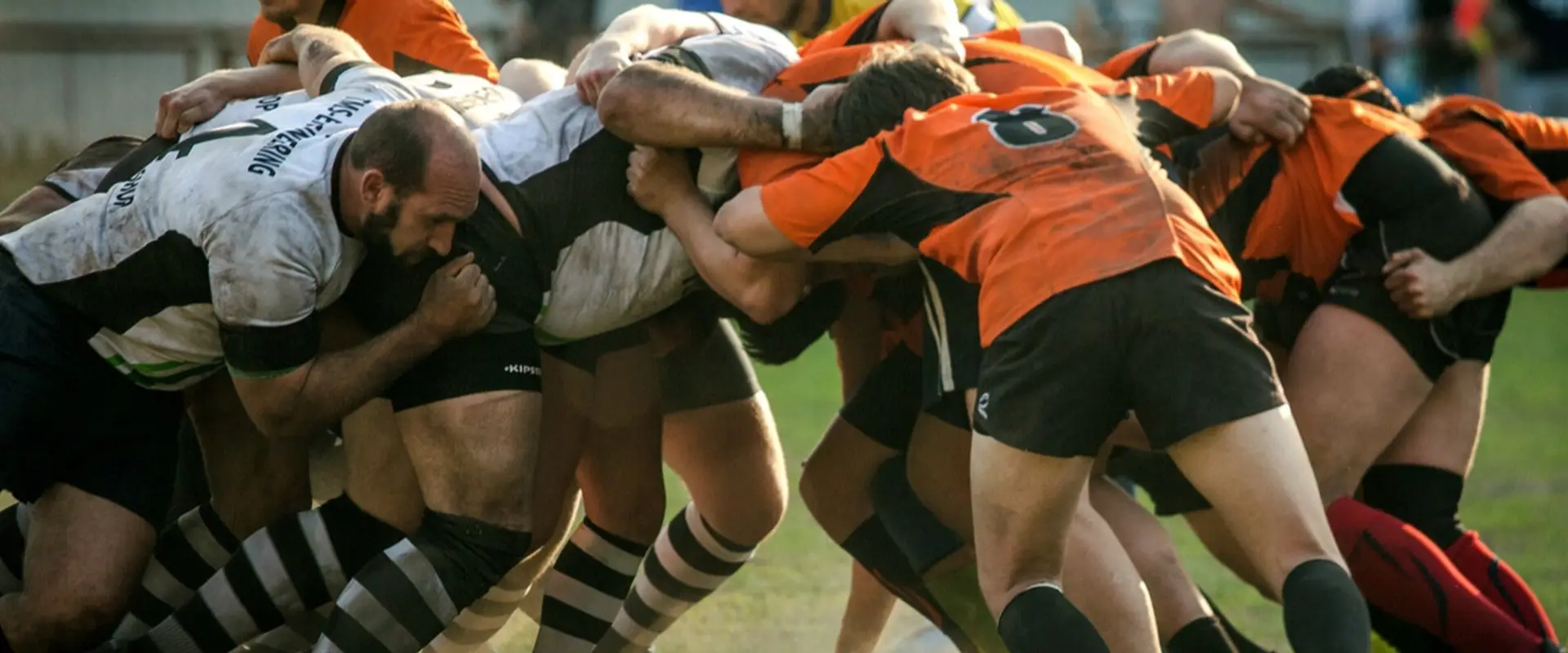 Yarrawarrah Tigers