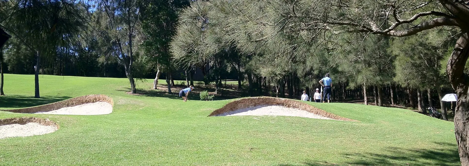 Avalon Ladies Golf Club