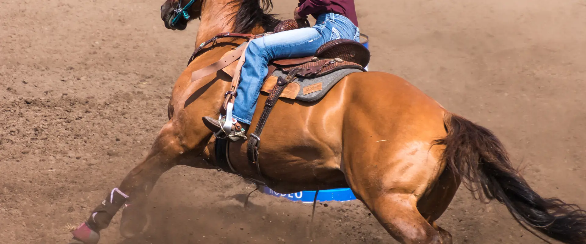 Australian Barrel Horse Association