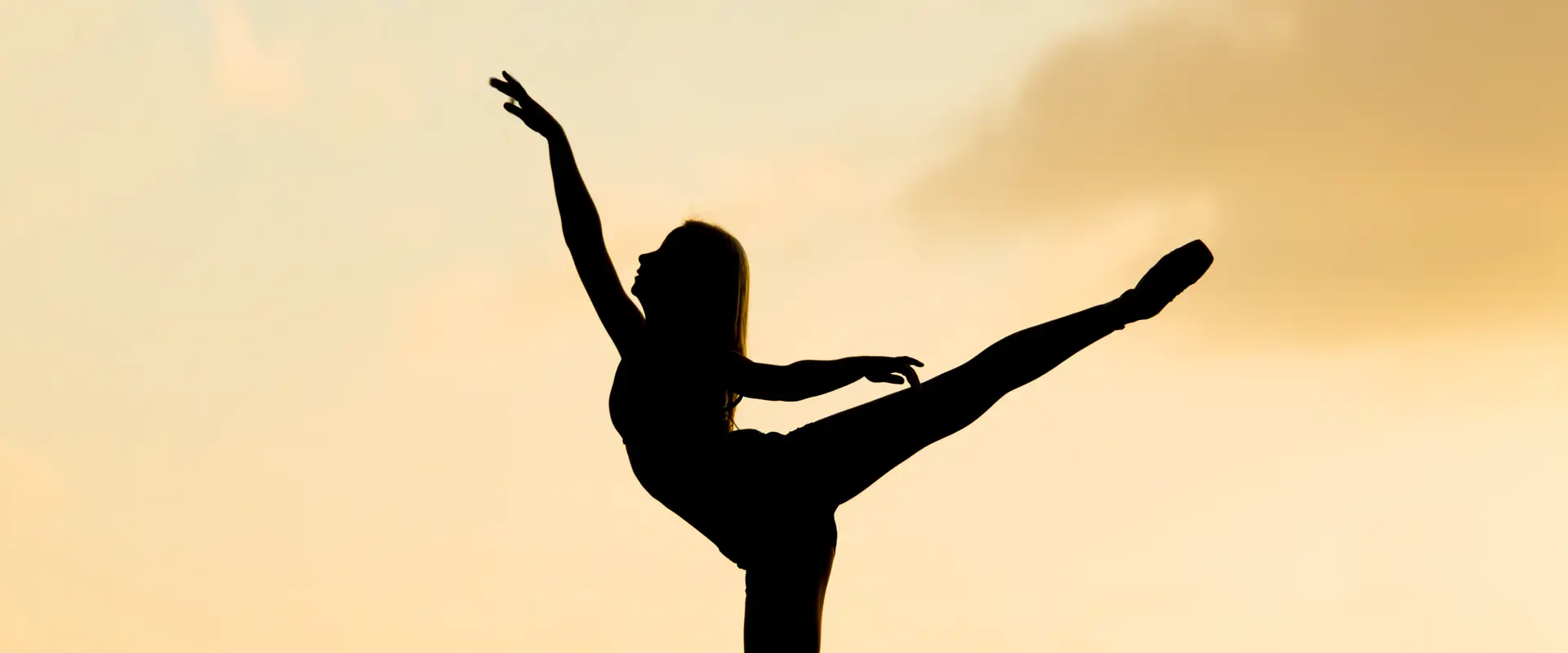 The Teresa Johnson Ballet School