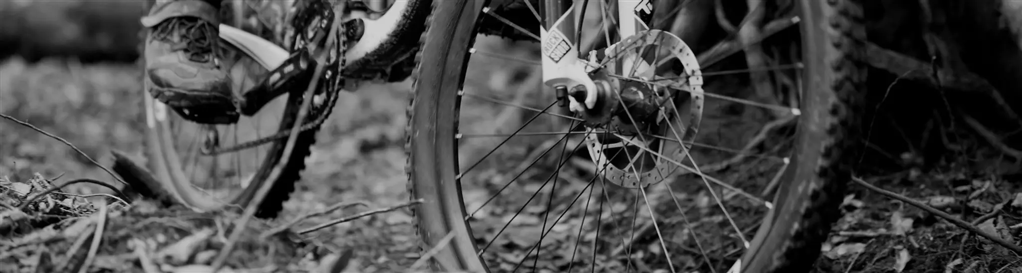 Davagh Forest Trails - MTB Trailhead