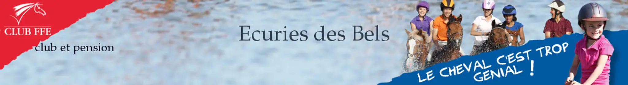 ECURIES DES BELS PENSIONS CHEVAL NATURE