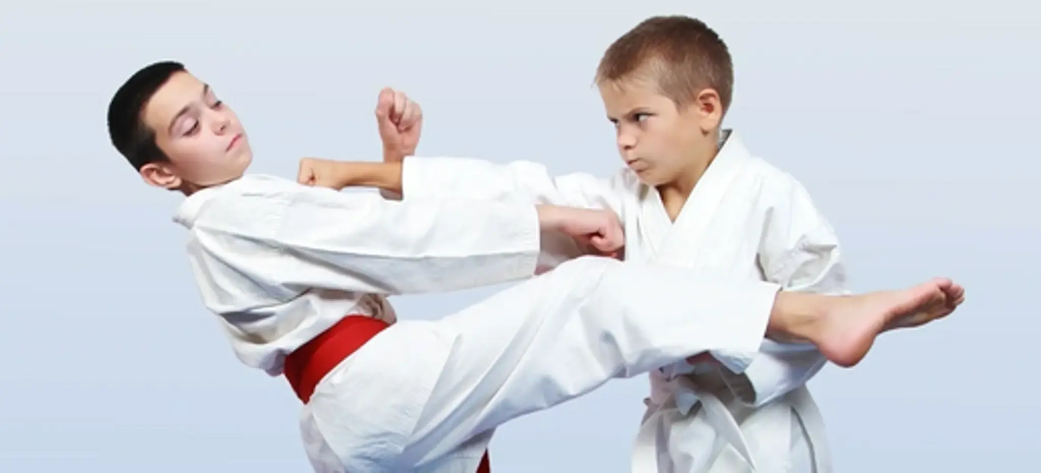 Sei Jou Kai Ju Jitsu