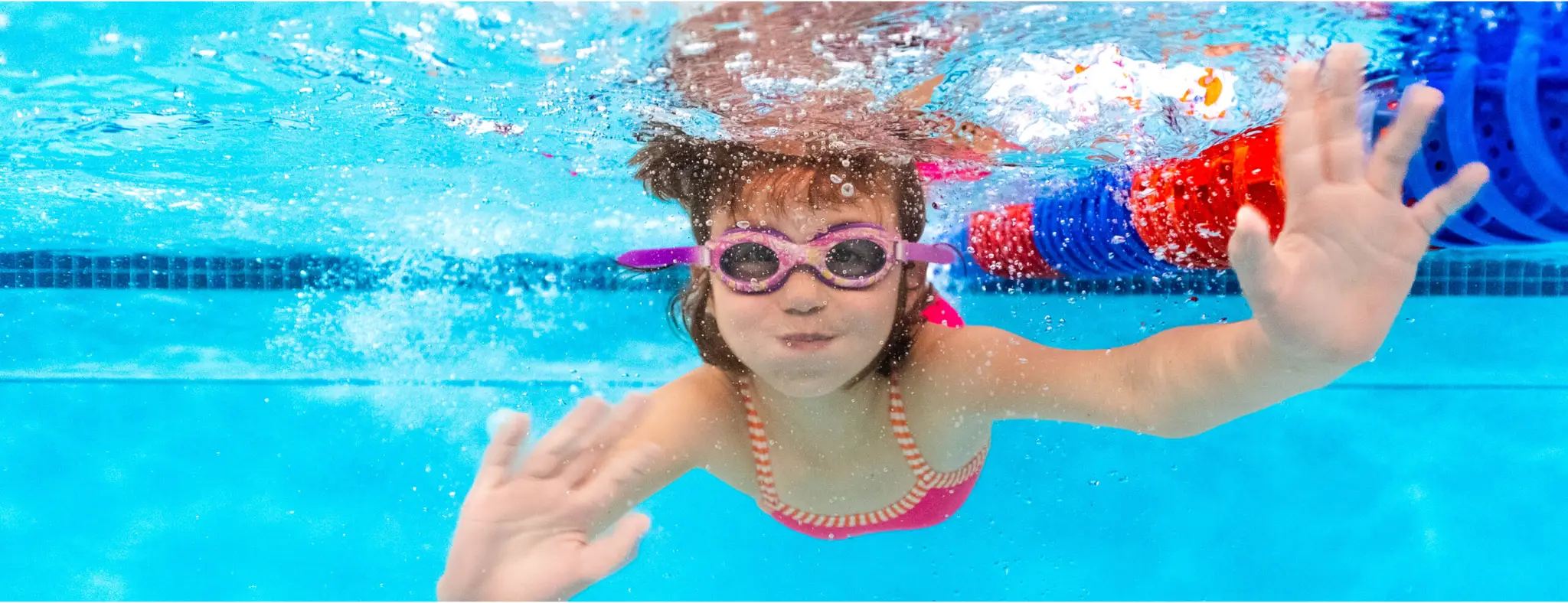Goldfish Swim School - Oakville