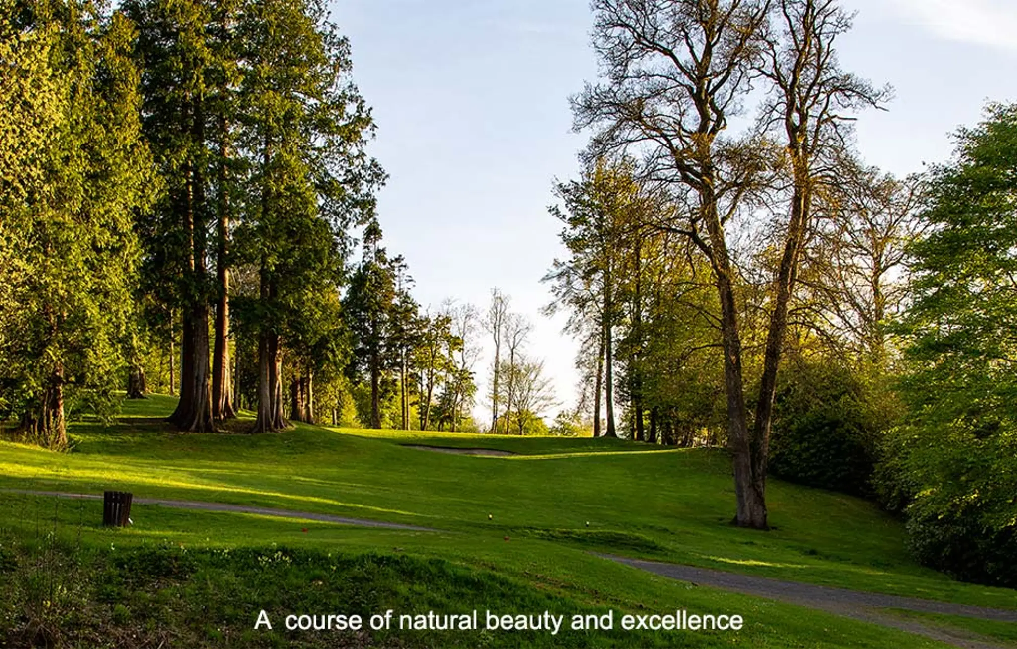 Castlecomer Golf Club