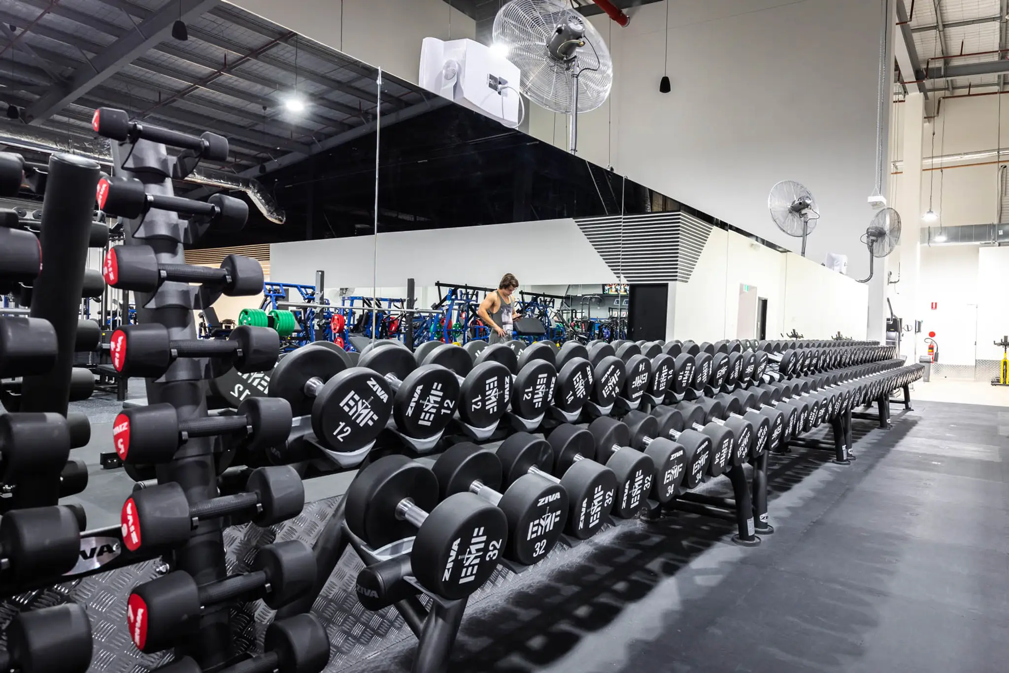 Platinum by EMF Kotara