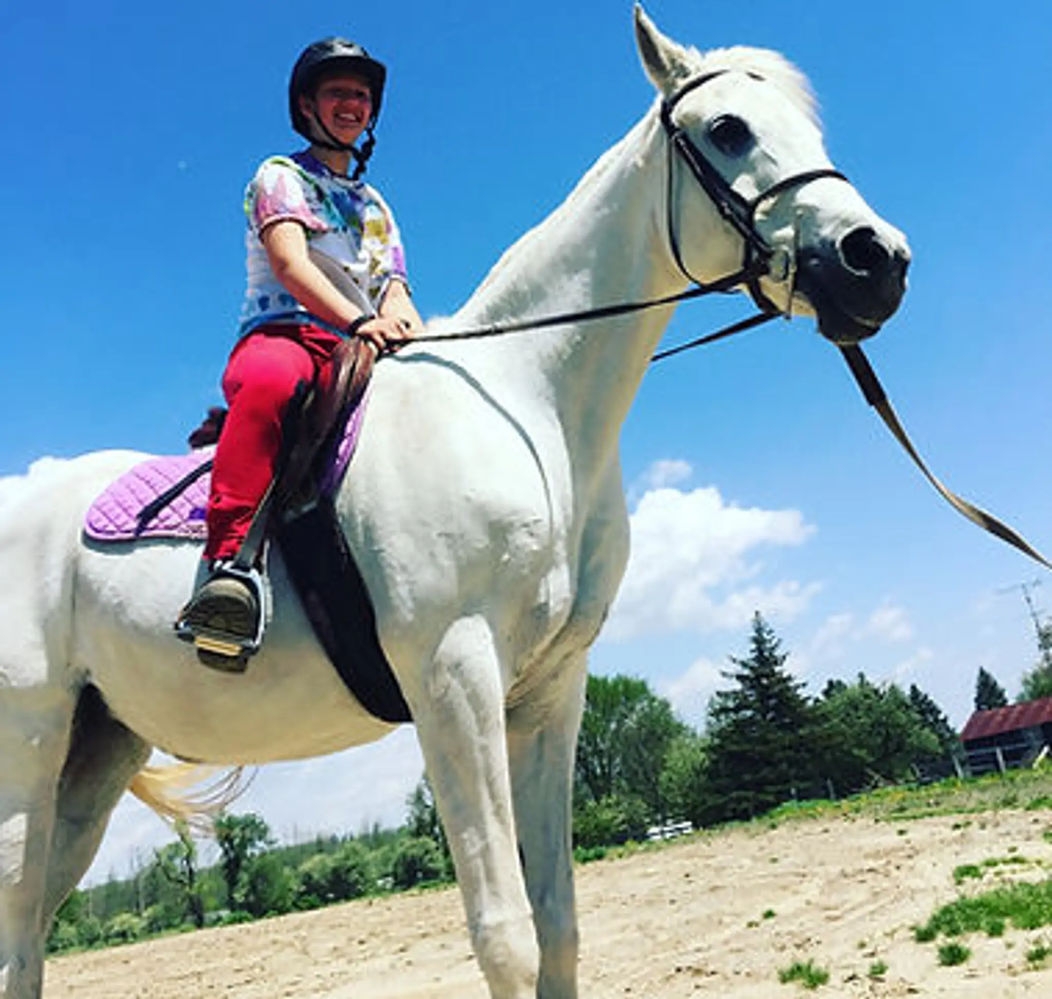 FarmScape Equestrian