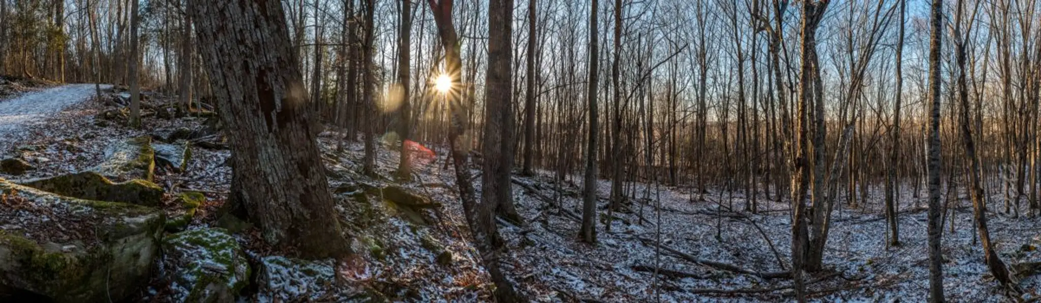 Parc Rgional St-Bernard