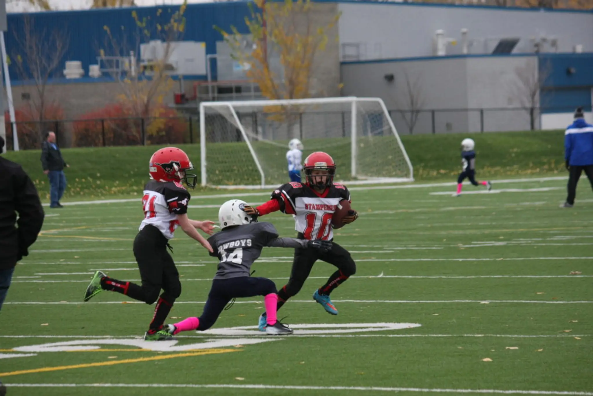 Stampeder Minor Football Club