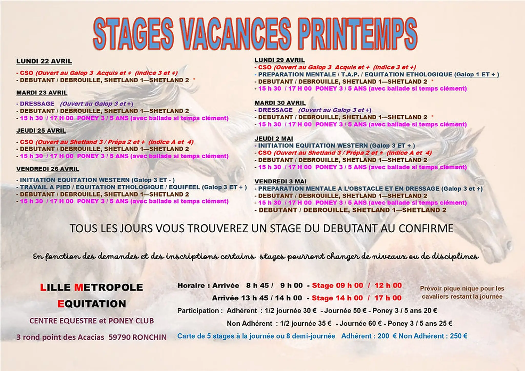 Lille Metropole Equitation