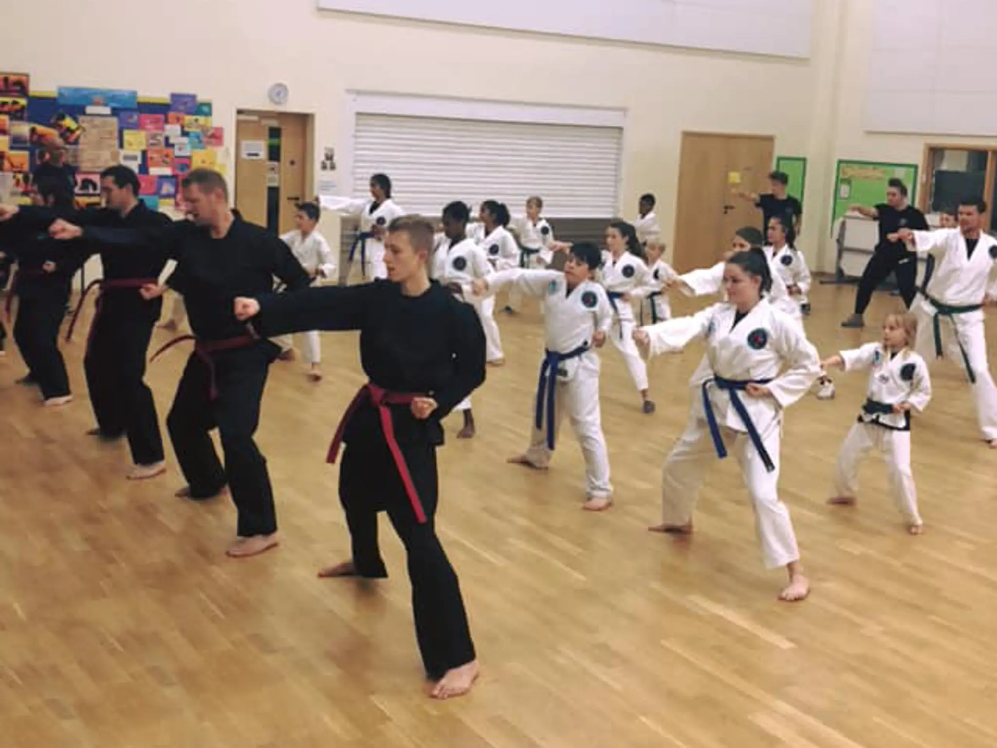 WMST Taekwondo Kingsway