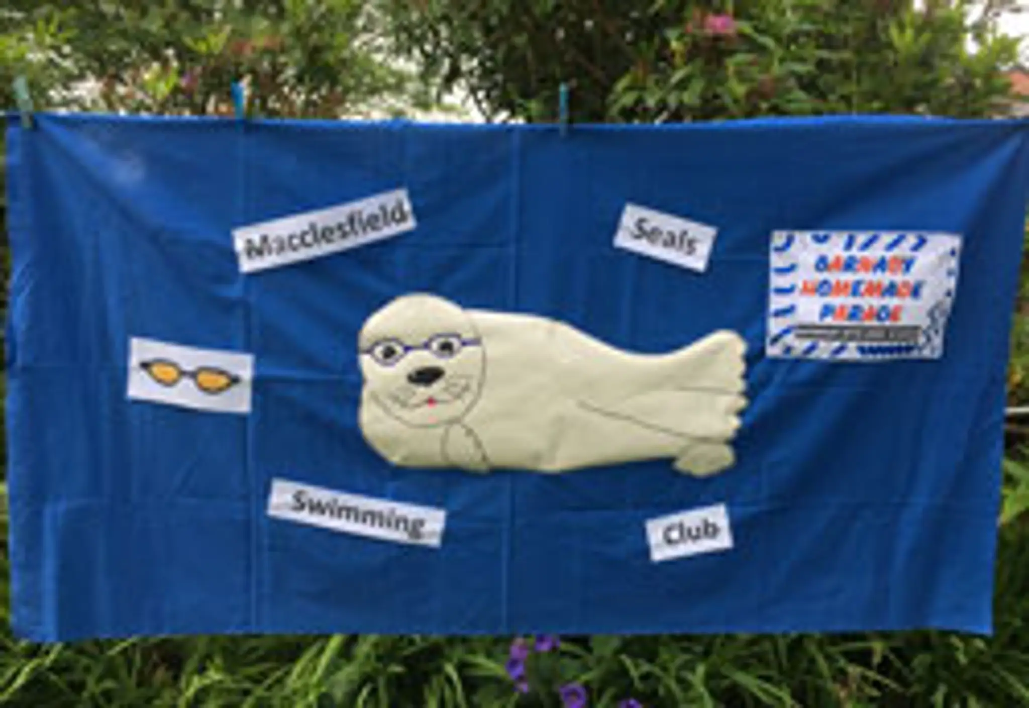 Macclesfield Seals Swimming Club