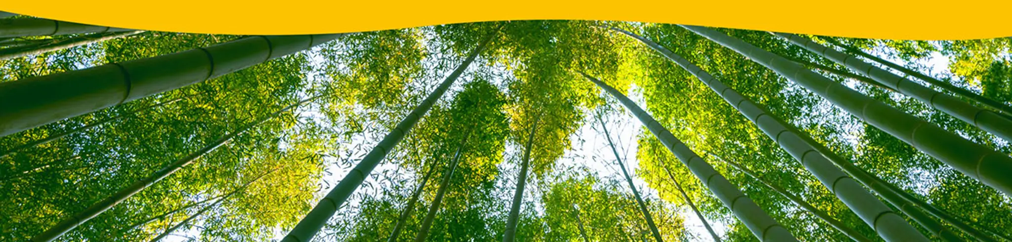 Astrid / Pilates-Garuda-Abdos Sans Risque