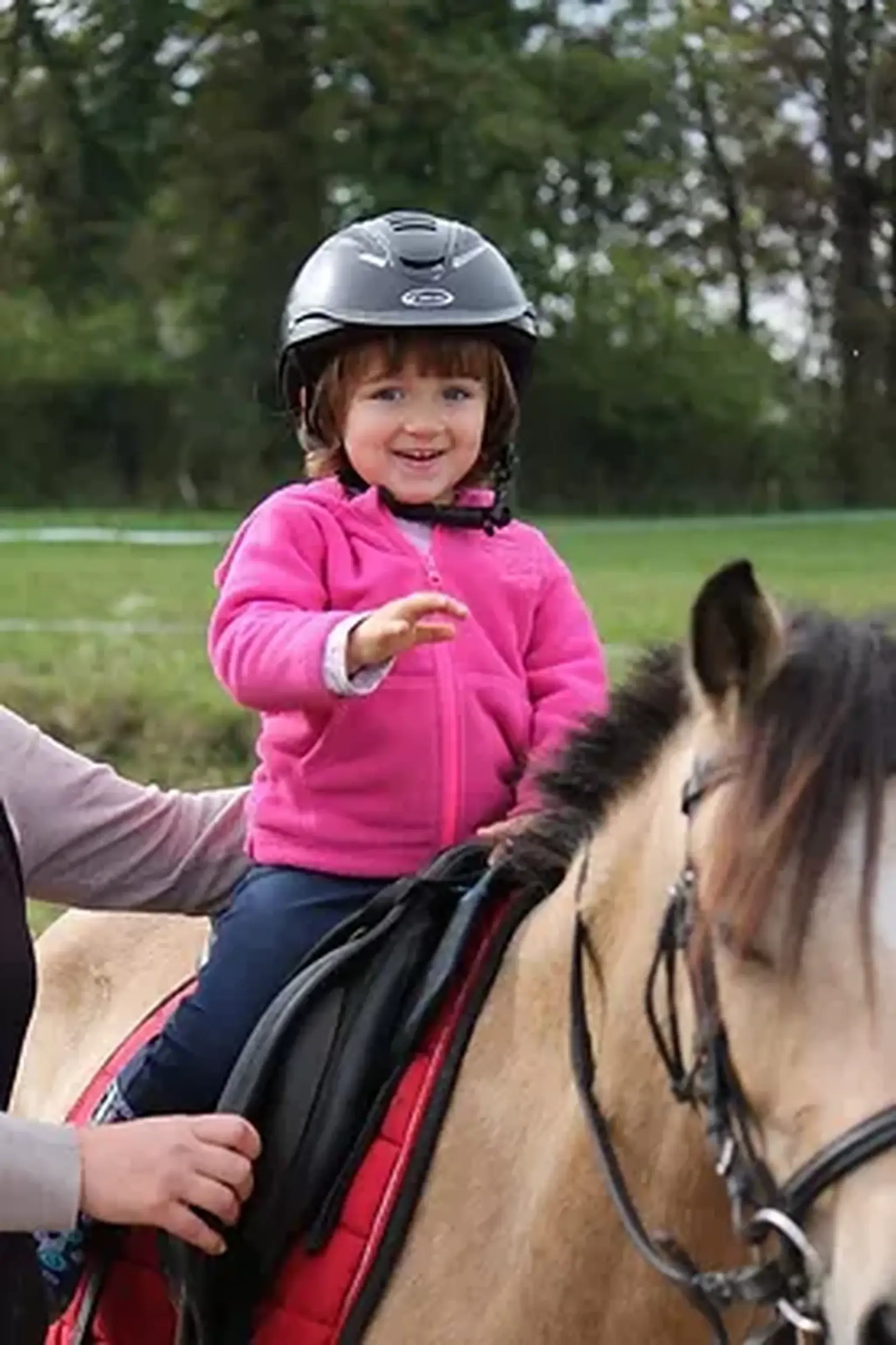 Ecuries des Blés d'Or