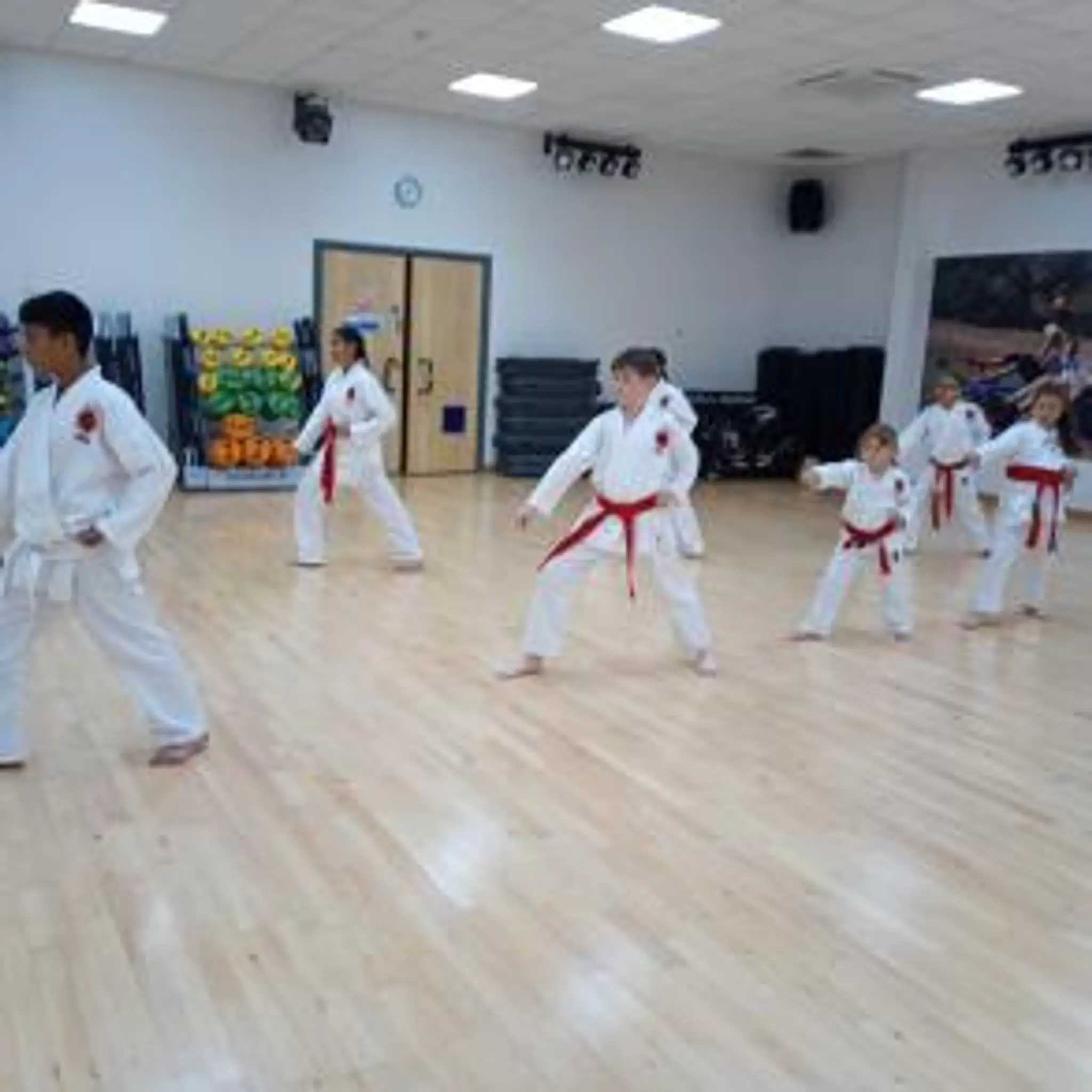 TISKA Karate Wednesfield